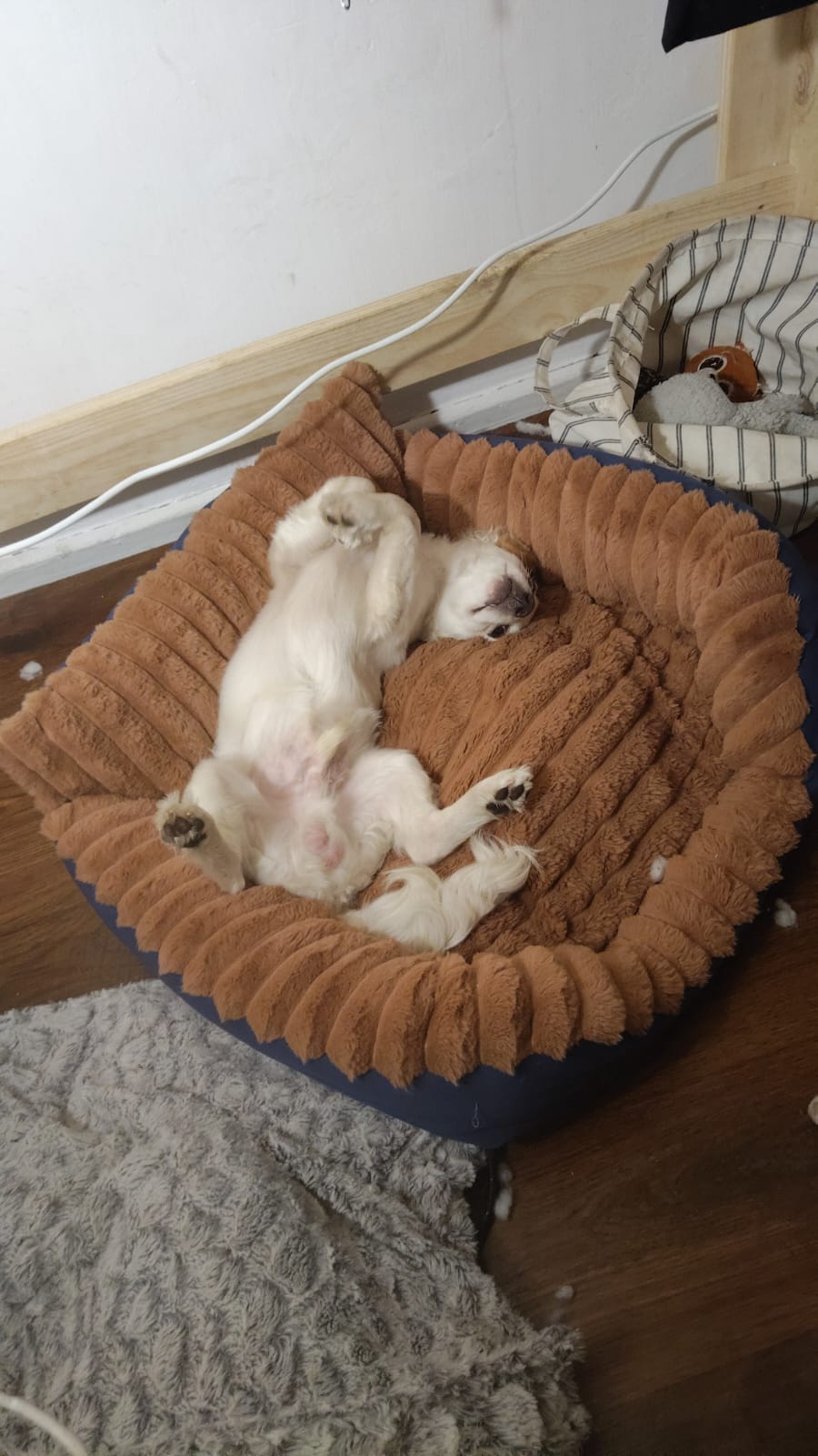 Elliot ahora